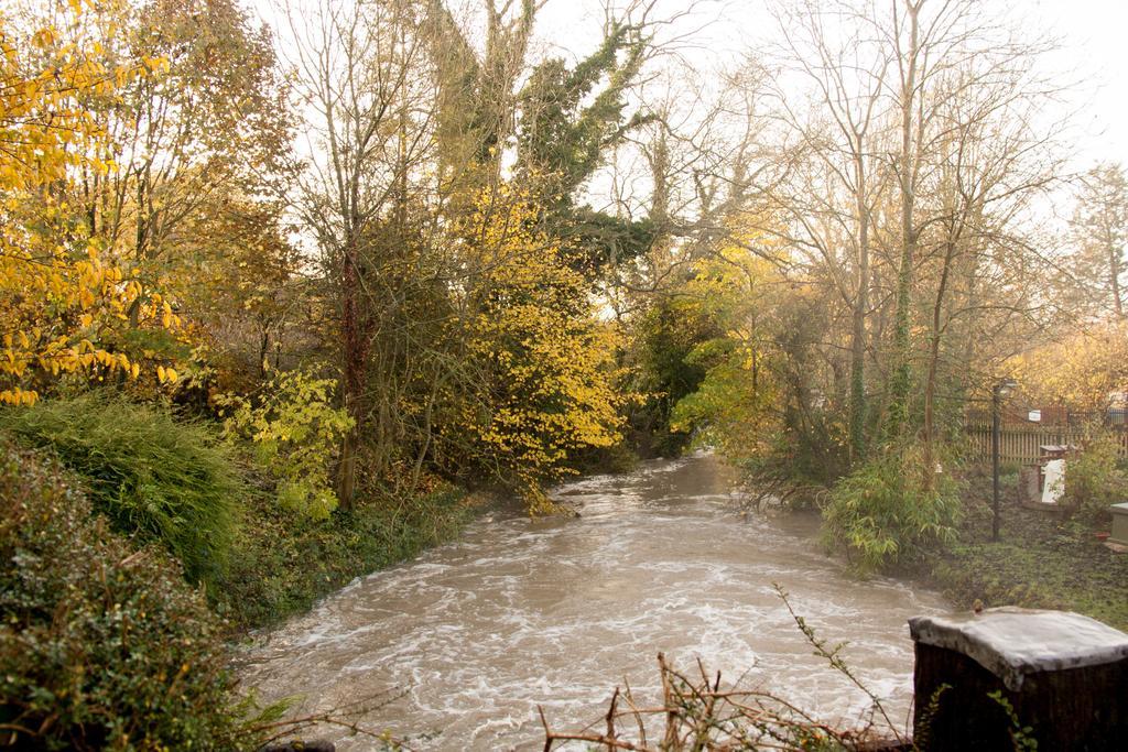 Little Hallingbury Mill 外观 照片